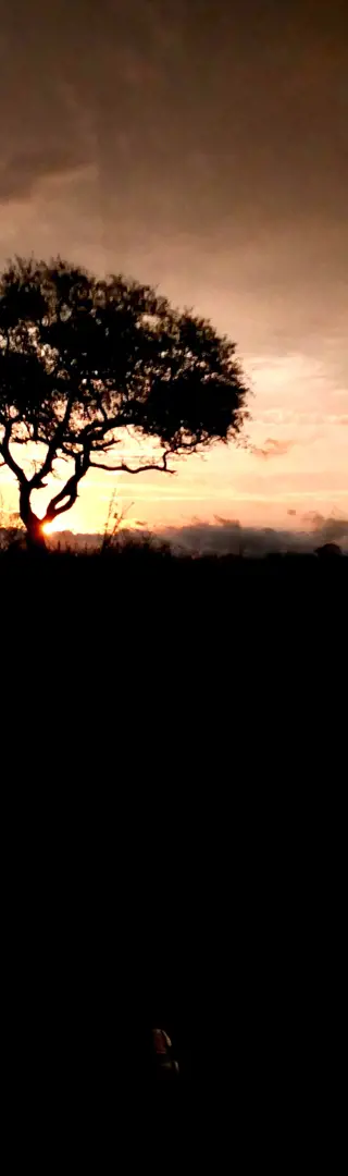 Unglaubliches Lichterspiel